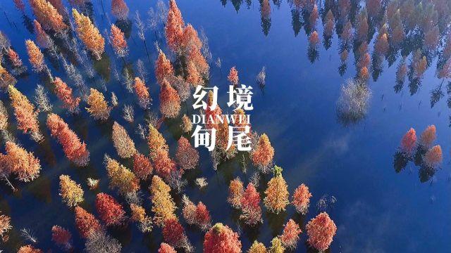十八齿的齿轮需要配多少瓦的侧挂电机，24V350w的电机能用吗？游戏画面