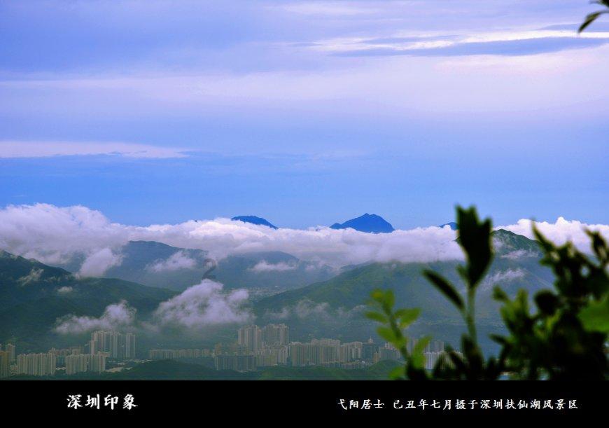 黎明杀机
