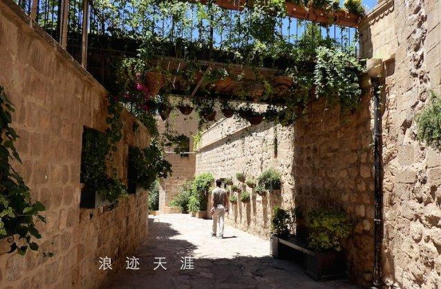 再获荣誉!赊店老酒荣获2024年河南老字号年货精品“金奖”