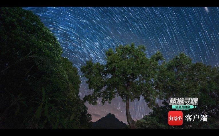 植物大战僵尸13