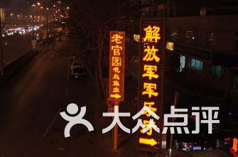 呆萌动物园