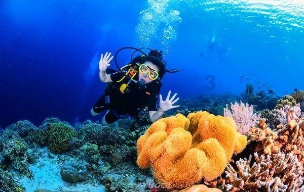 因个人贷款管理不尽职等 交通银行三明分行被罚95万