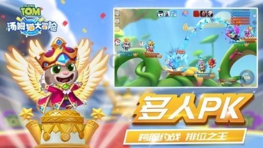 豪华轿车记忆卡