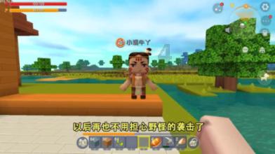 侍忍者