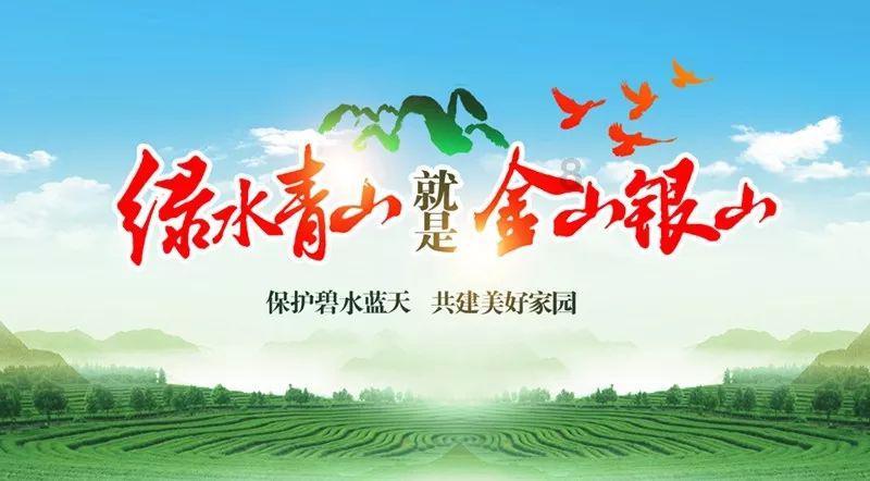 浦东金桥5涨停