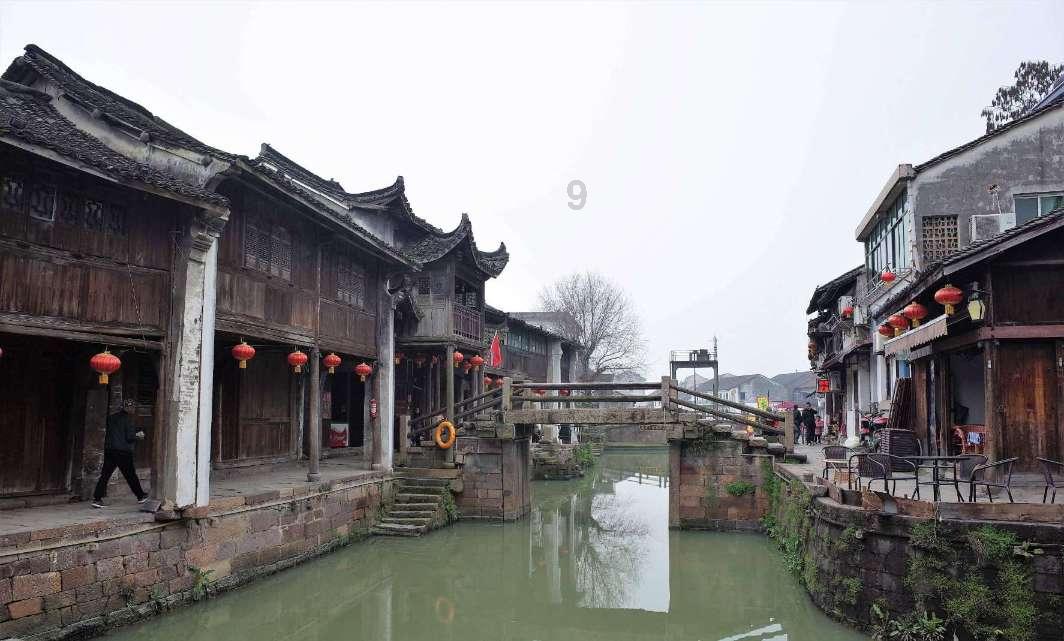小孔雀逃脱