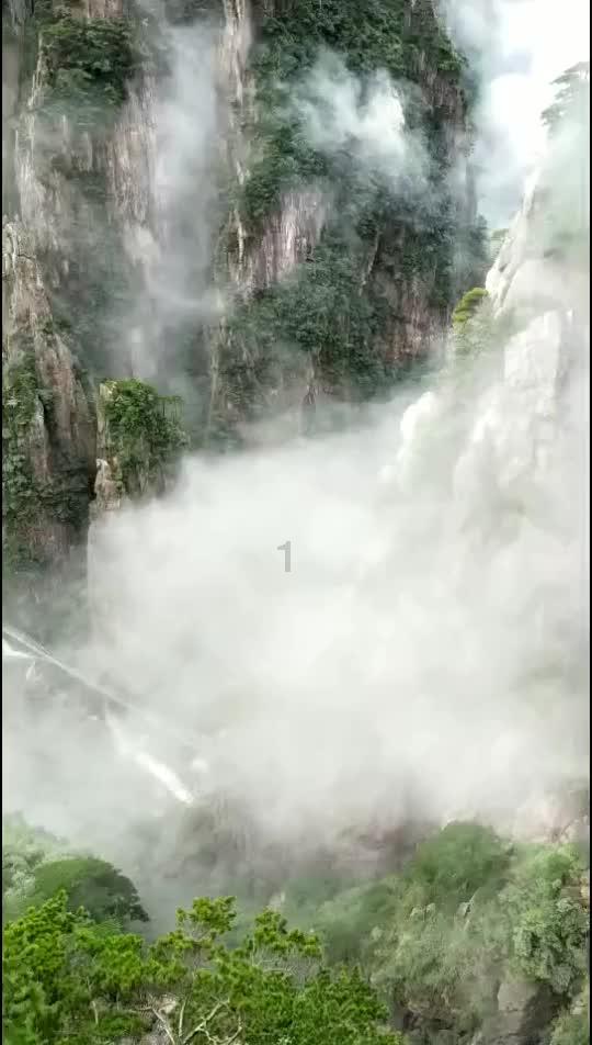 萌兔兔闯关